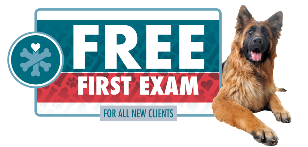 Free First Exam