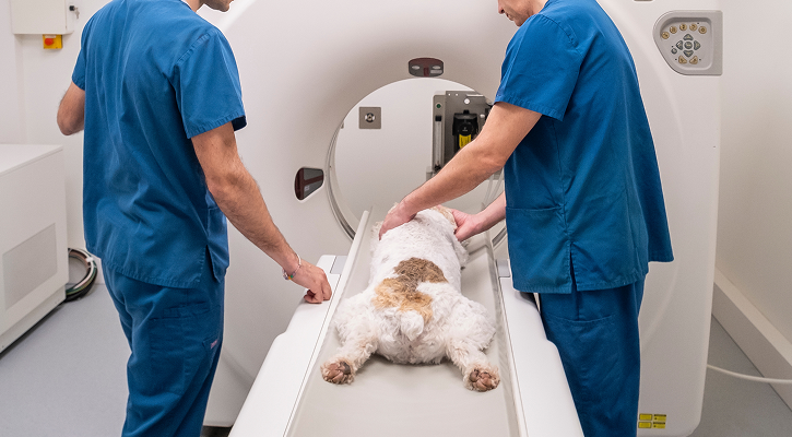 CT Scan