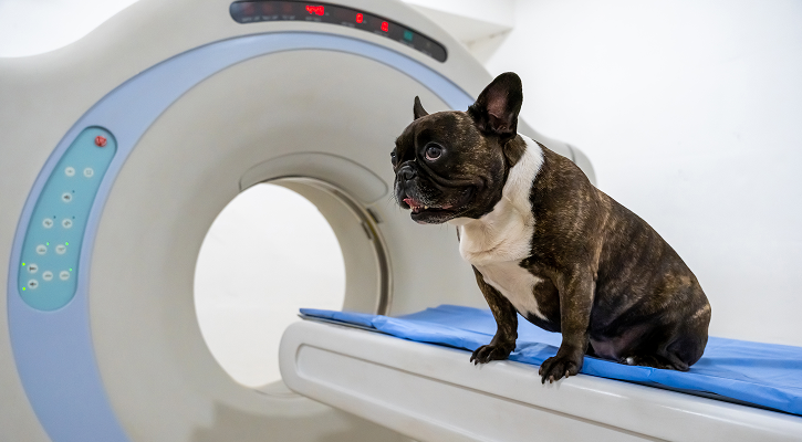 MRI