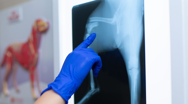 X-rays